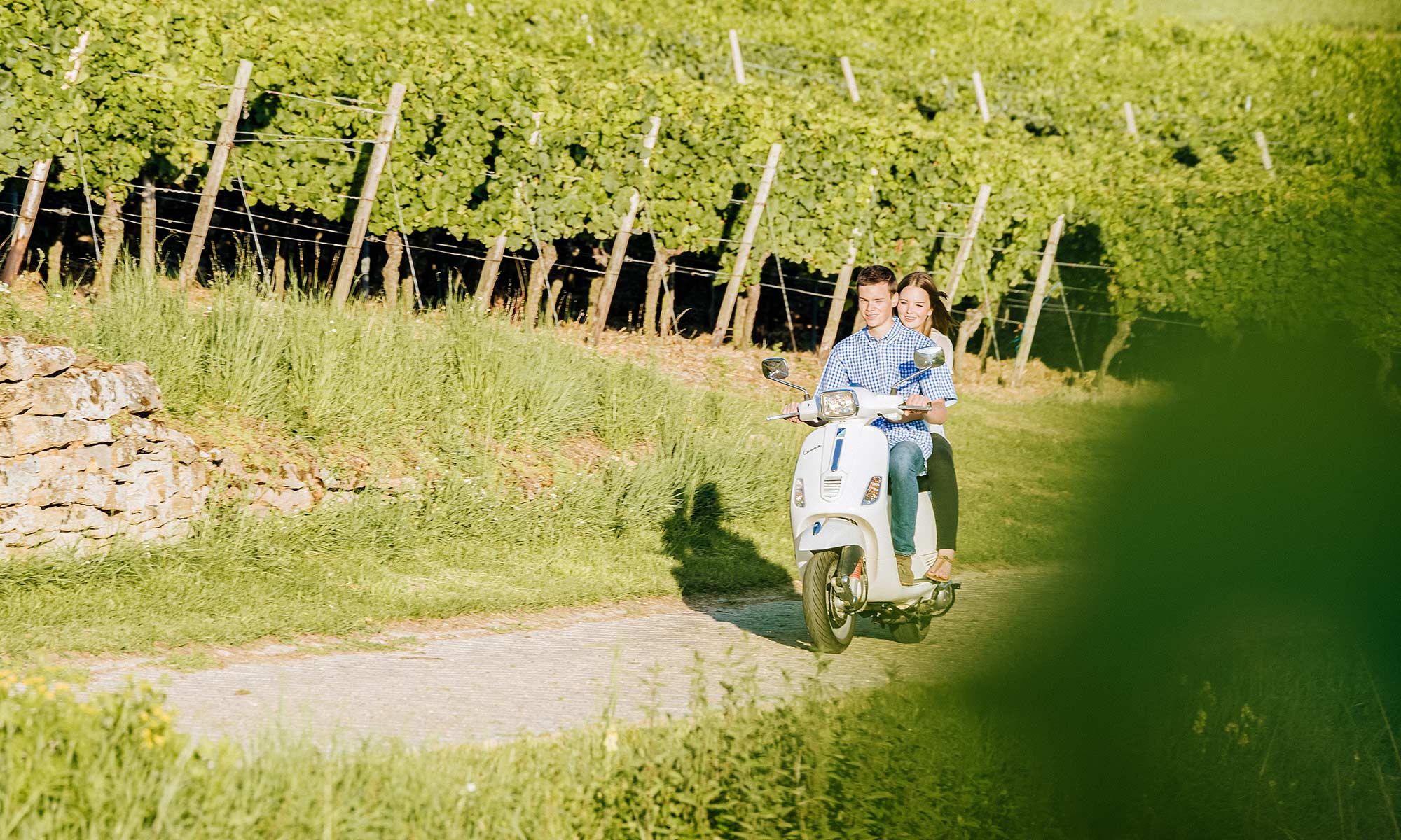 HOFFEST IM WEINGUT